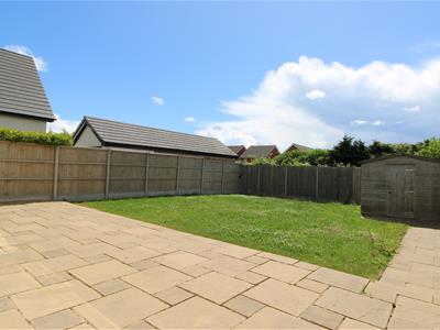 Picture 17